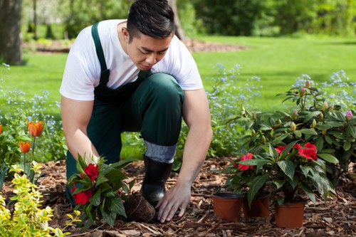 Safety review and monitoring by tree surgeons