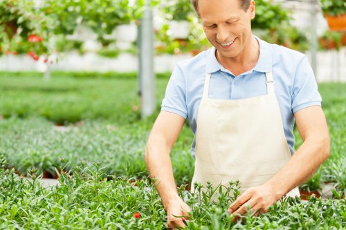 Local stump grinding service for residential and commercial properties in Mayfair