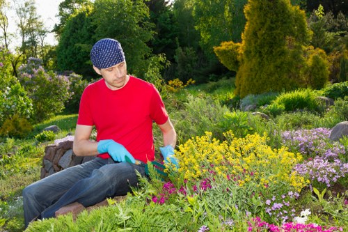 Accepted payment methods for Mayfair tree surgery services