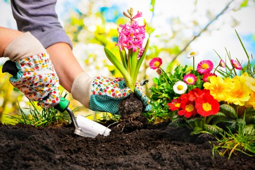 Professional arborist assessing service concerns and records